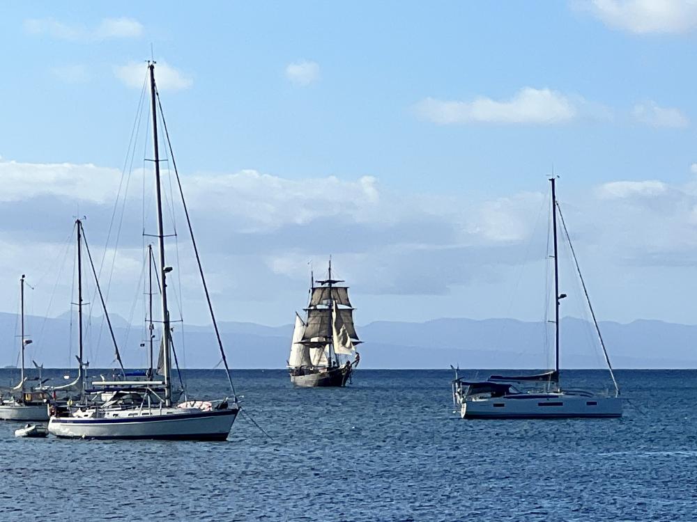 Sea Dog Sailing ASA Certification